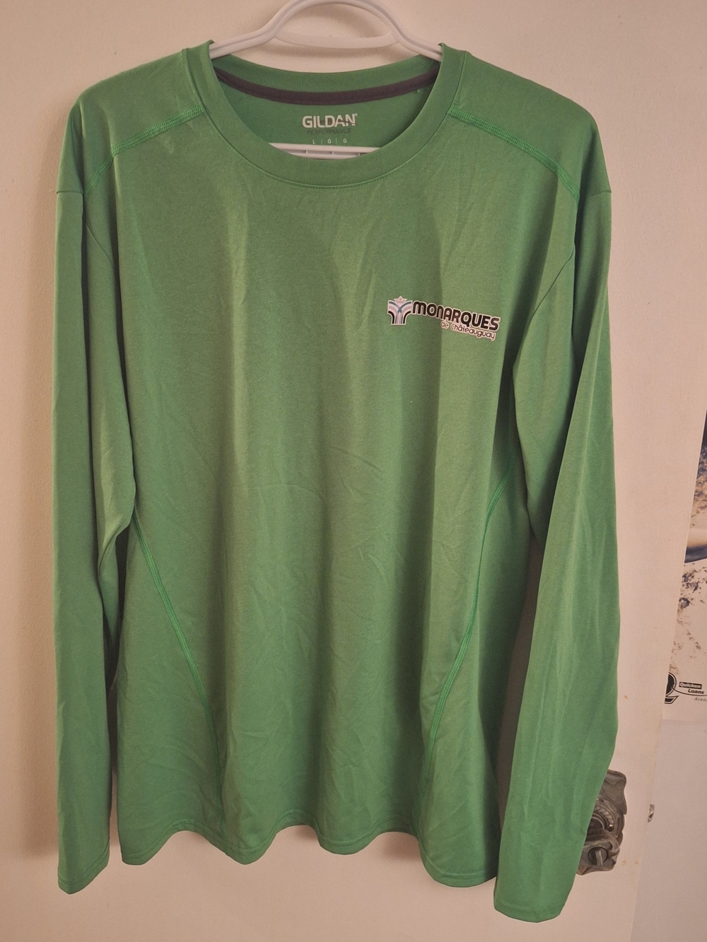 Gildan Men's Long-Sleeve Crew Tee in Light Green with Logo